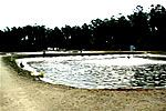 Bucksport Plant